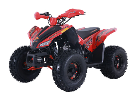 DENAGO TRAILHAWK 10 FI ATV