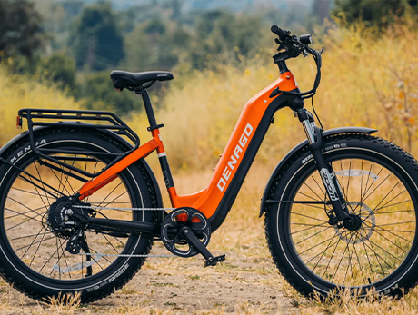 DENAGO FAT TIRE 2 STEP-THRU EBIKE