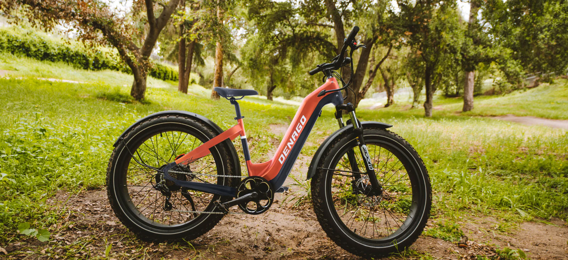 DENAGO FAT TIRE 2 STEP-THRU EBIKE